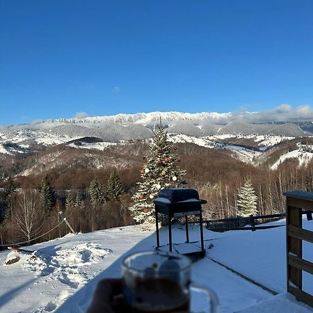 Cabanuta Din Munti Hotel Moieciu de Jos Luaran gambar