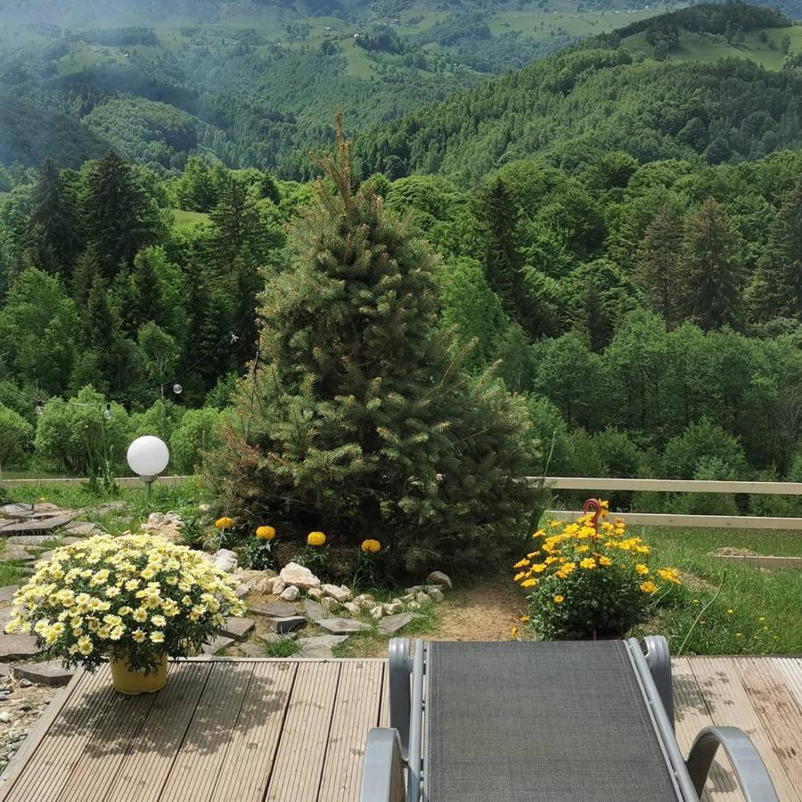 Cabanuta Din Munti Hotel Moieciu de Jos Luaran gambar
