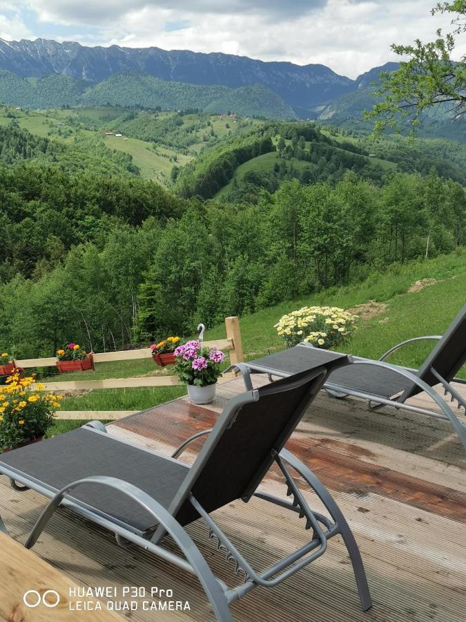 Cabanuta Din Munti Hotel Moieciu de Jos Luaran gambar