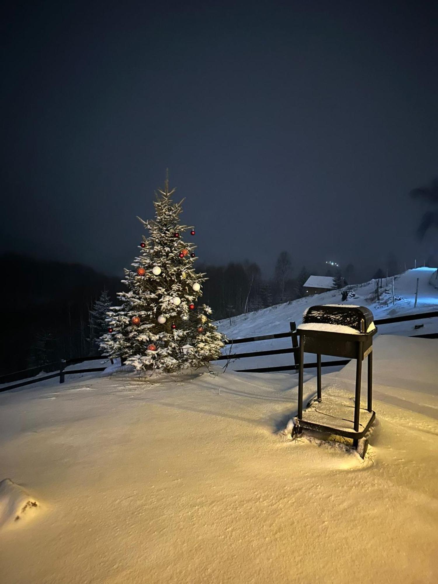Cabanuta Din Munti Hotel Moieciu de Jos Luaran gambar