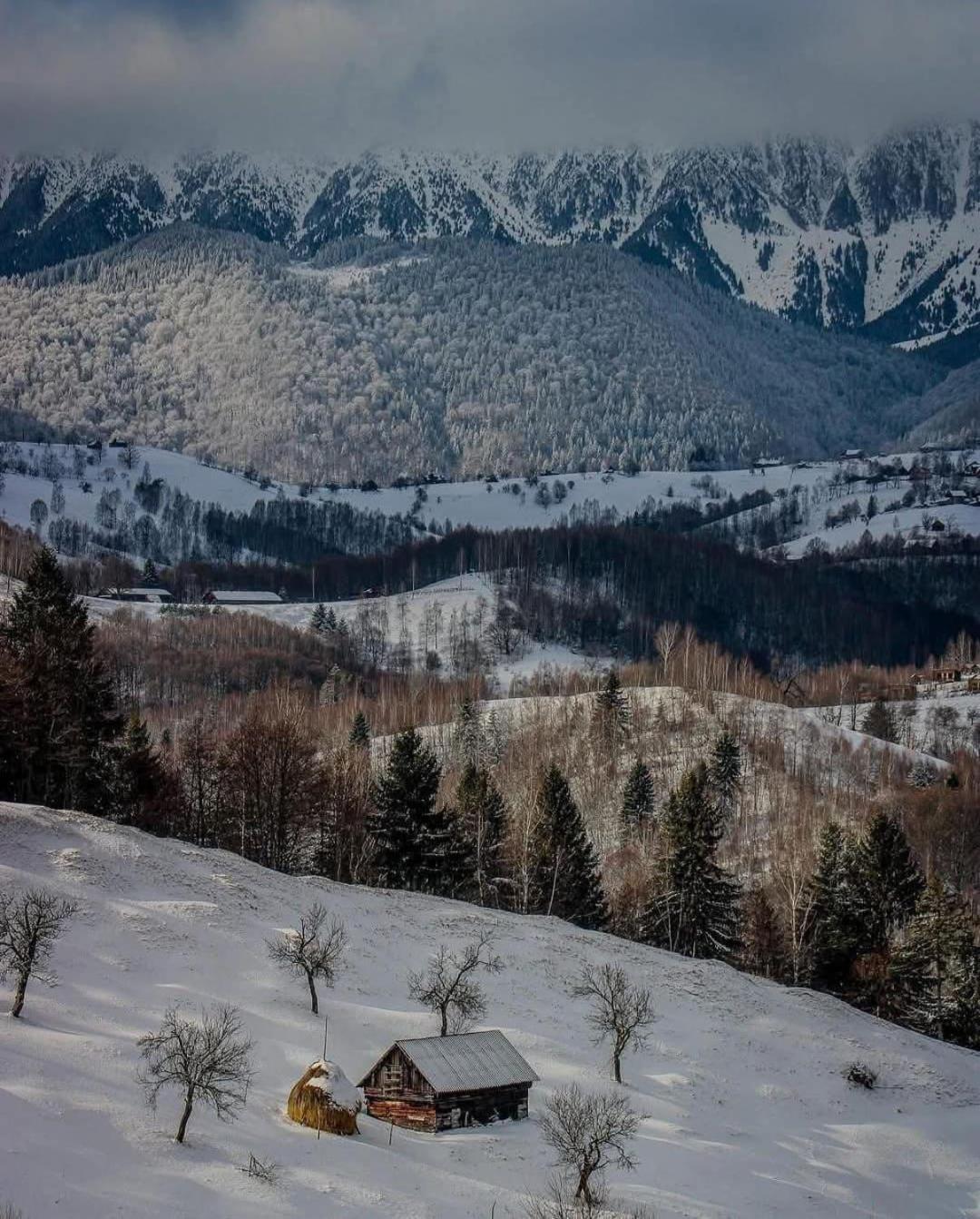 Cabanuta Din Munti Hotel Moieciu de Jos Luaran gambar